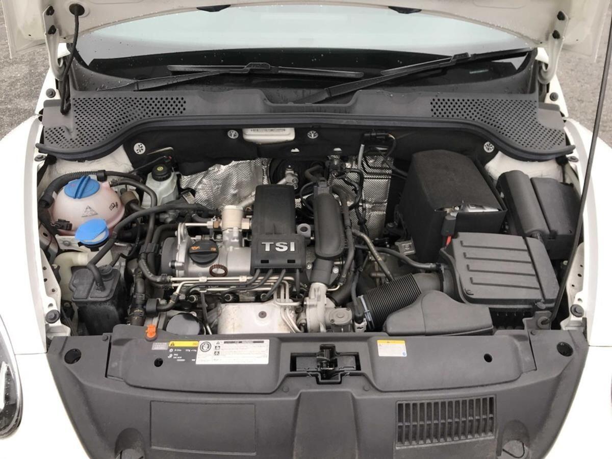 Volkswagen Beetle view 21