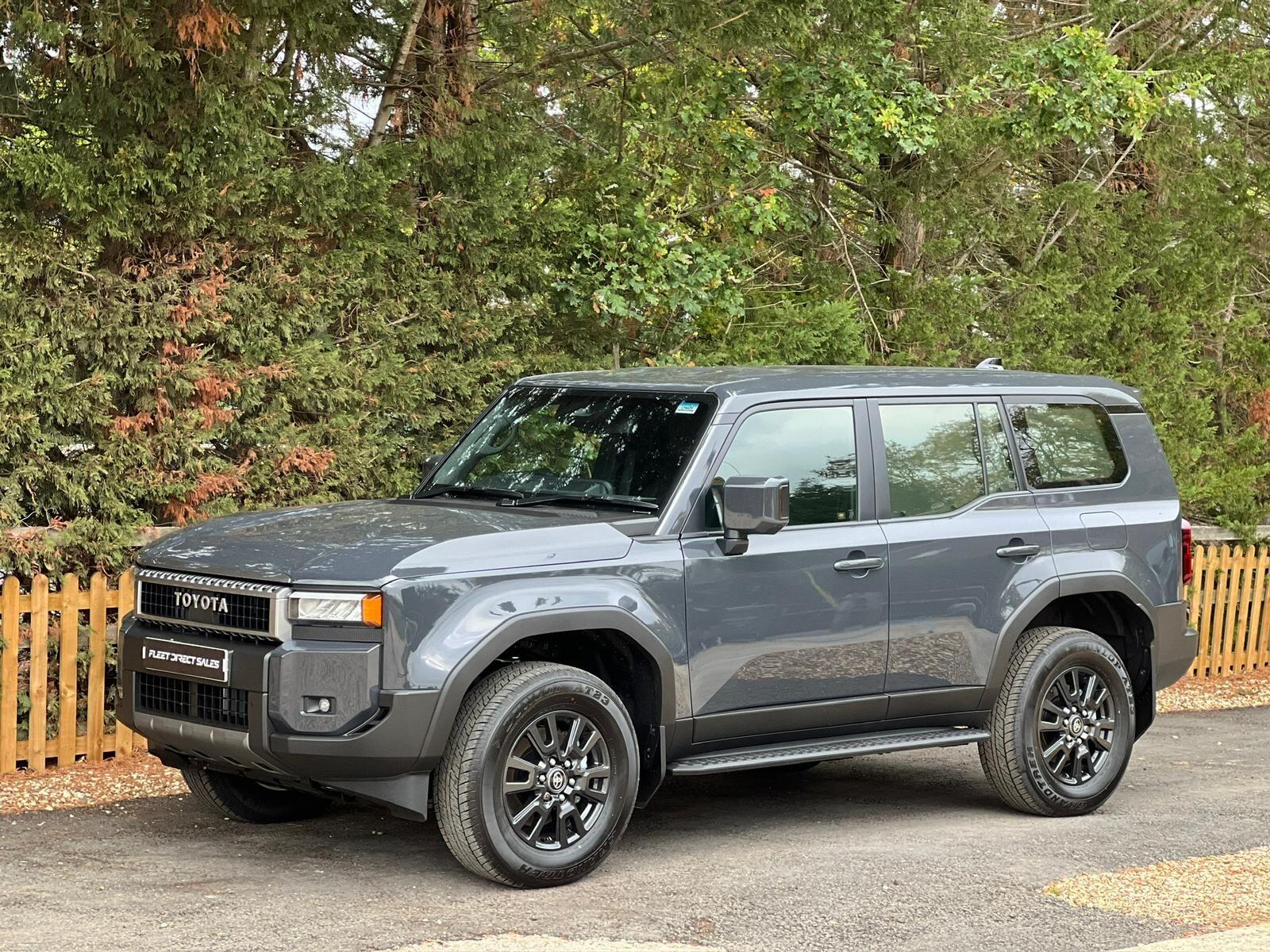 Toyota Land Cruiser view 7