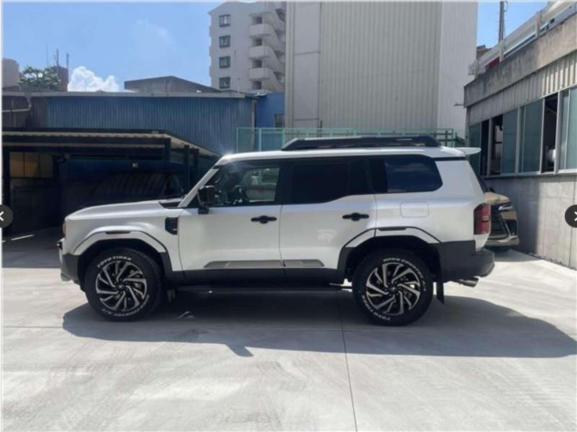 Toyota Land Cruiser view 5