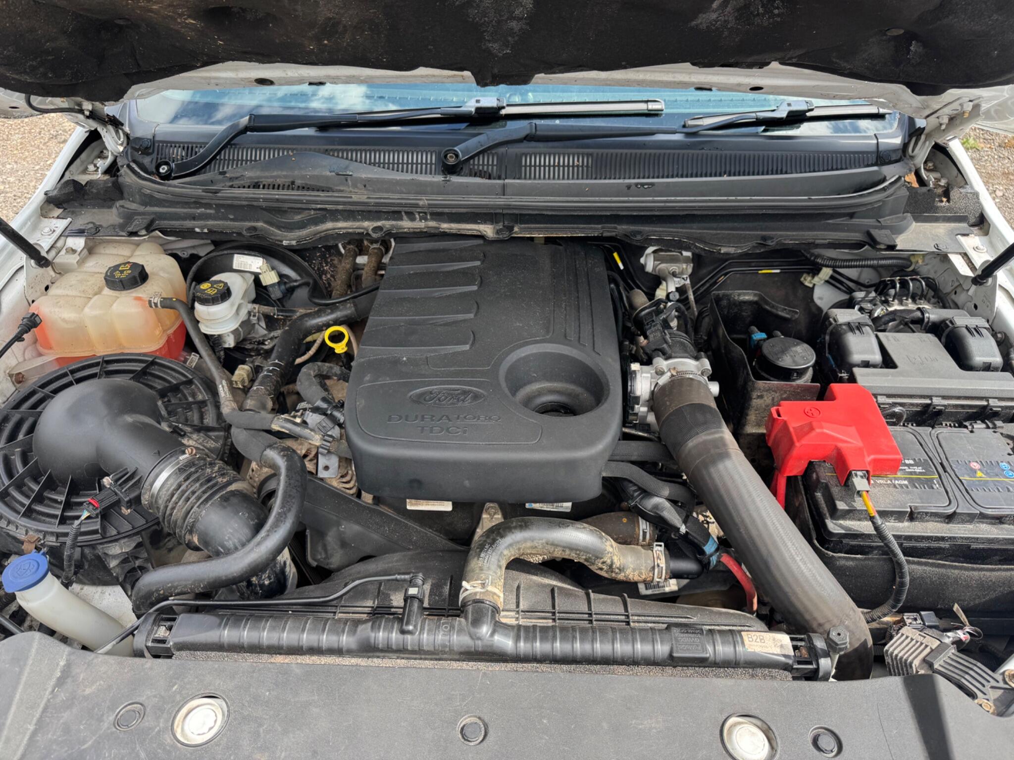 Ford Ranger view 51