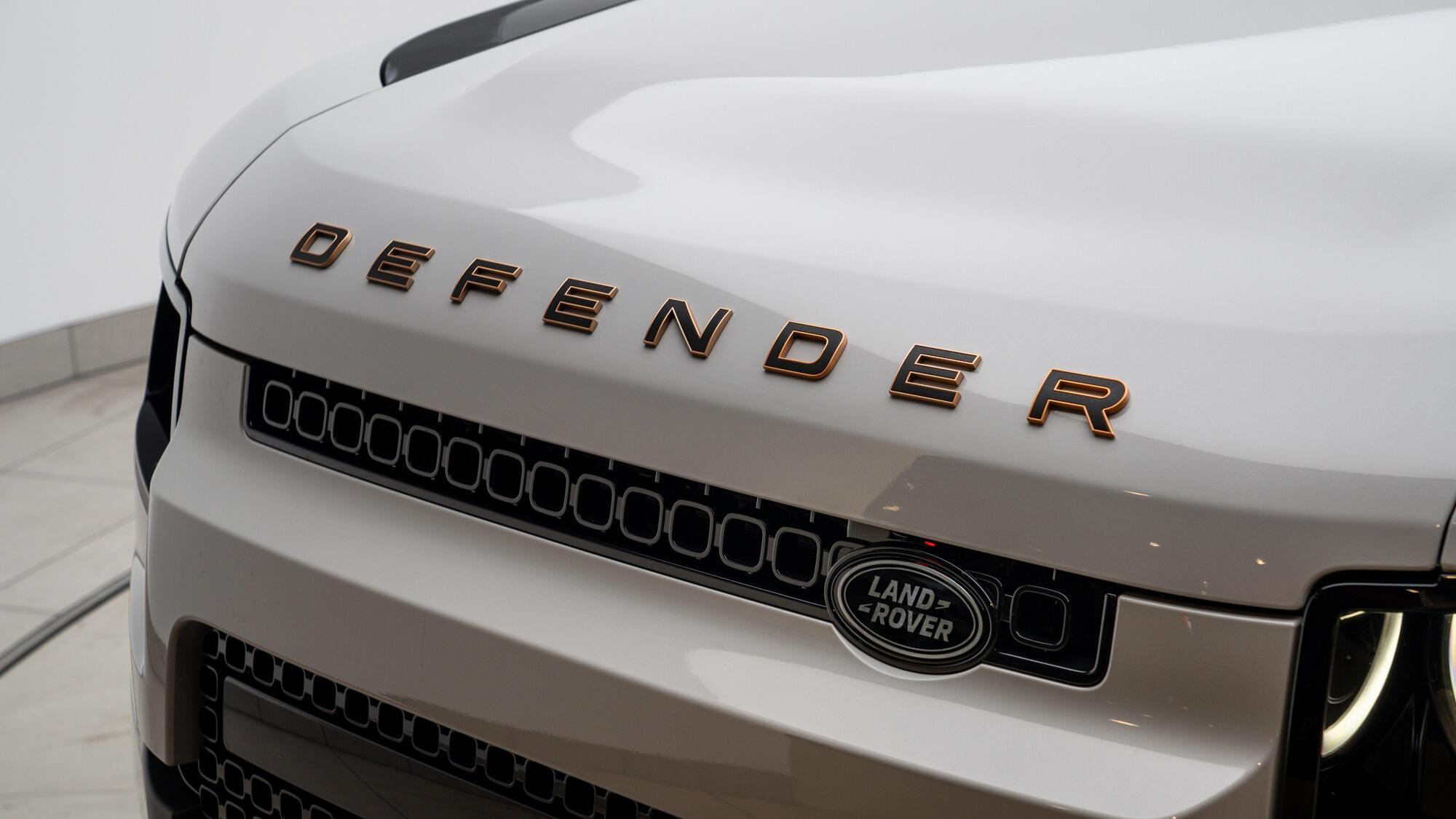 Land Rover Defender 110 view 16