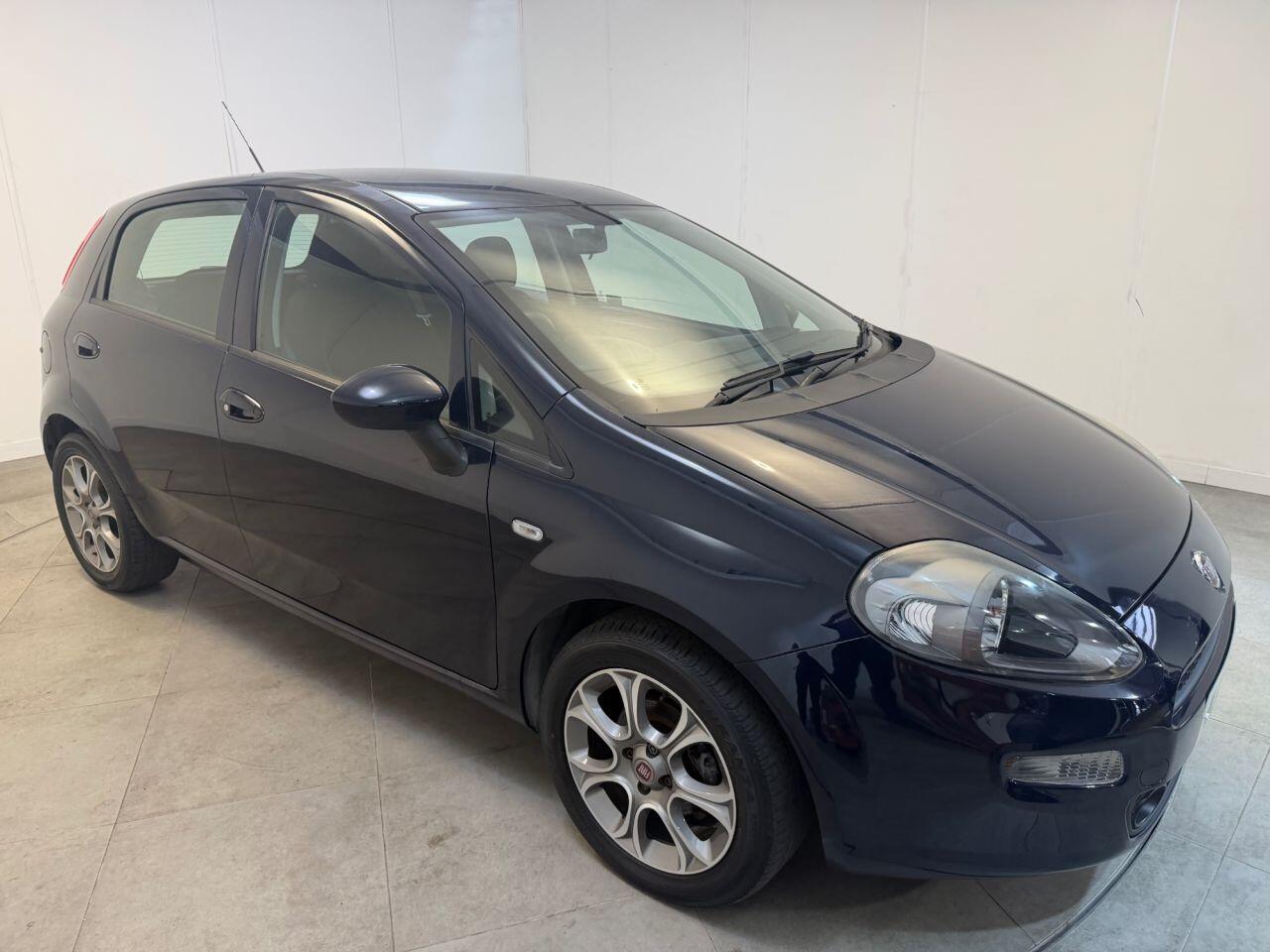 Fiat Punto view 5