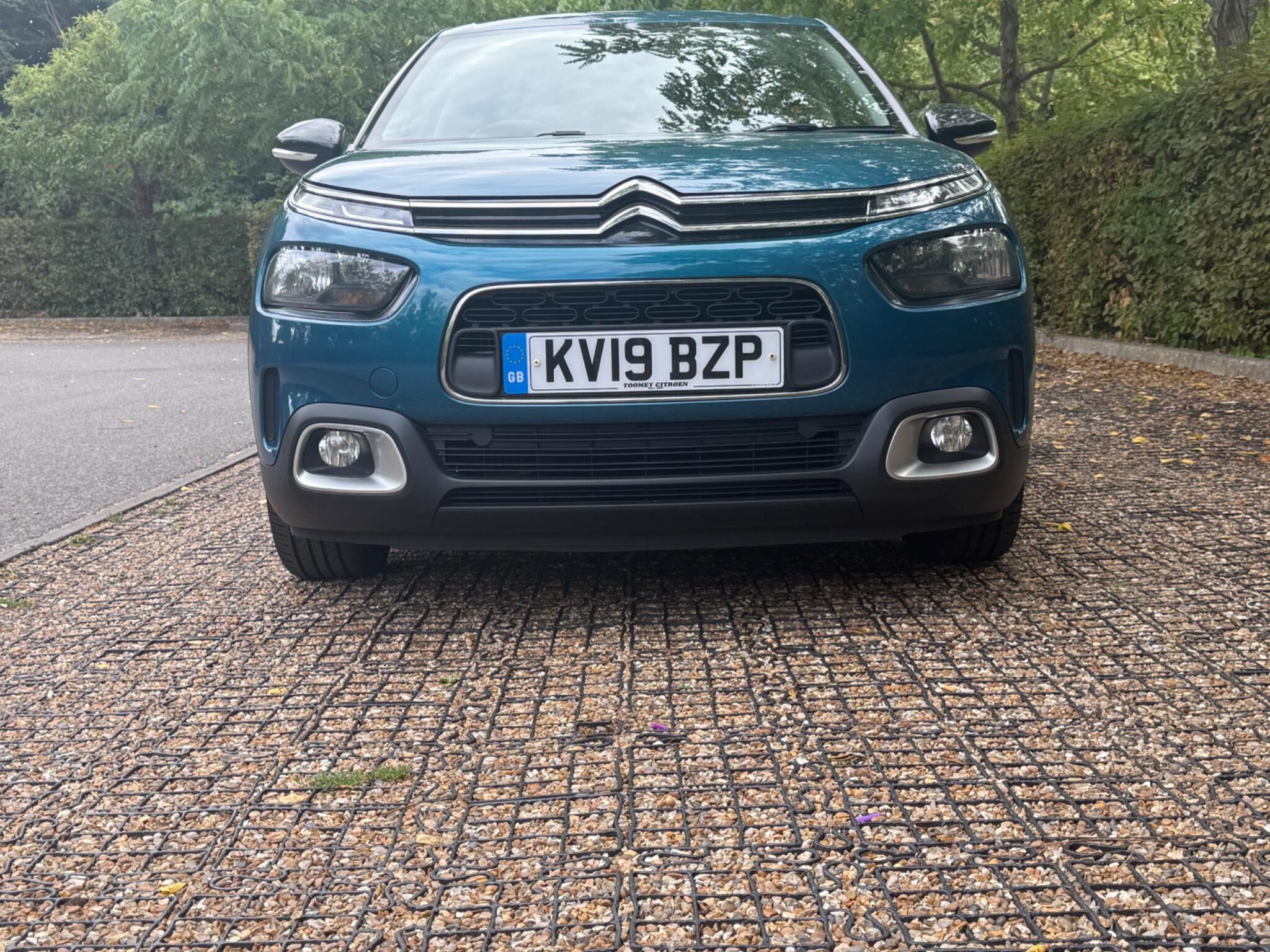 Citroen C4 Cactus view 13