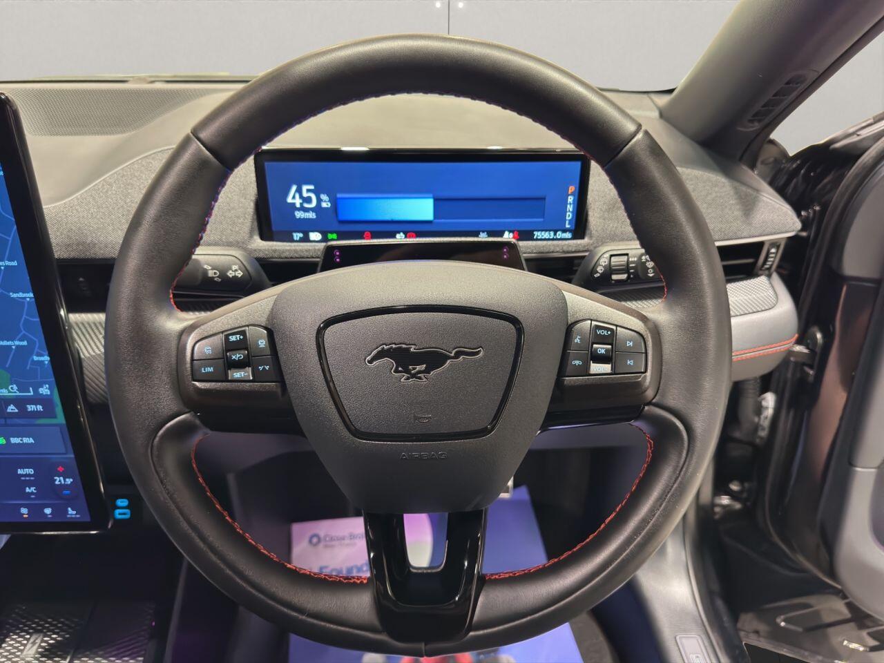 Ford Mustang Mach-E view 14