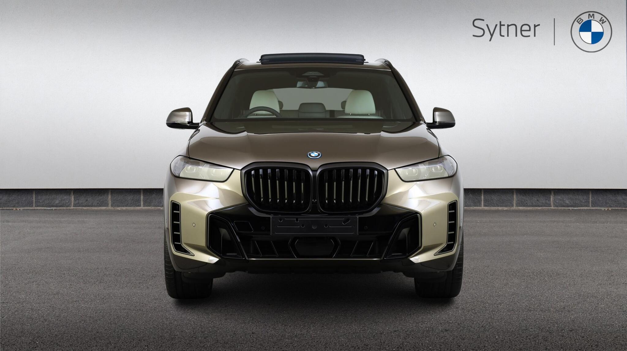 BMW X5 view 16