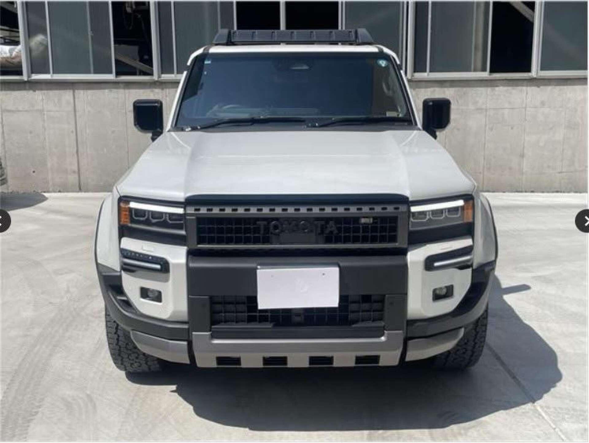 Toyota Land Cruiser view 10