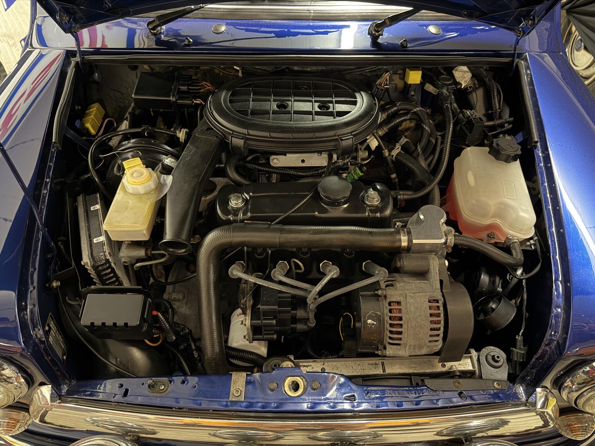 Rover Mini view 49