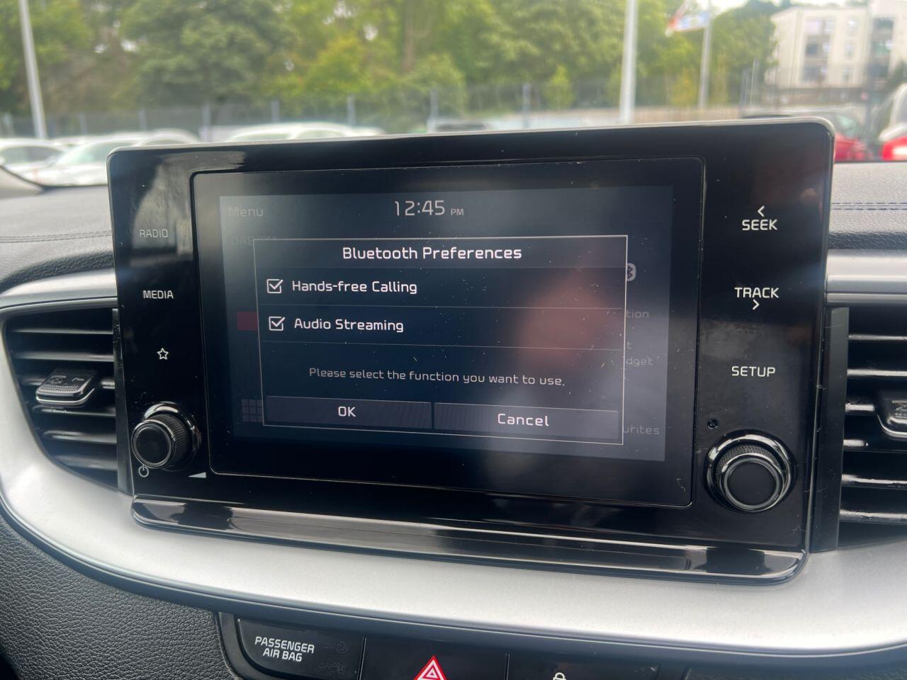 Kia Xceed view 18