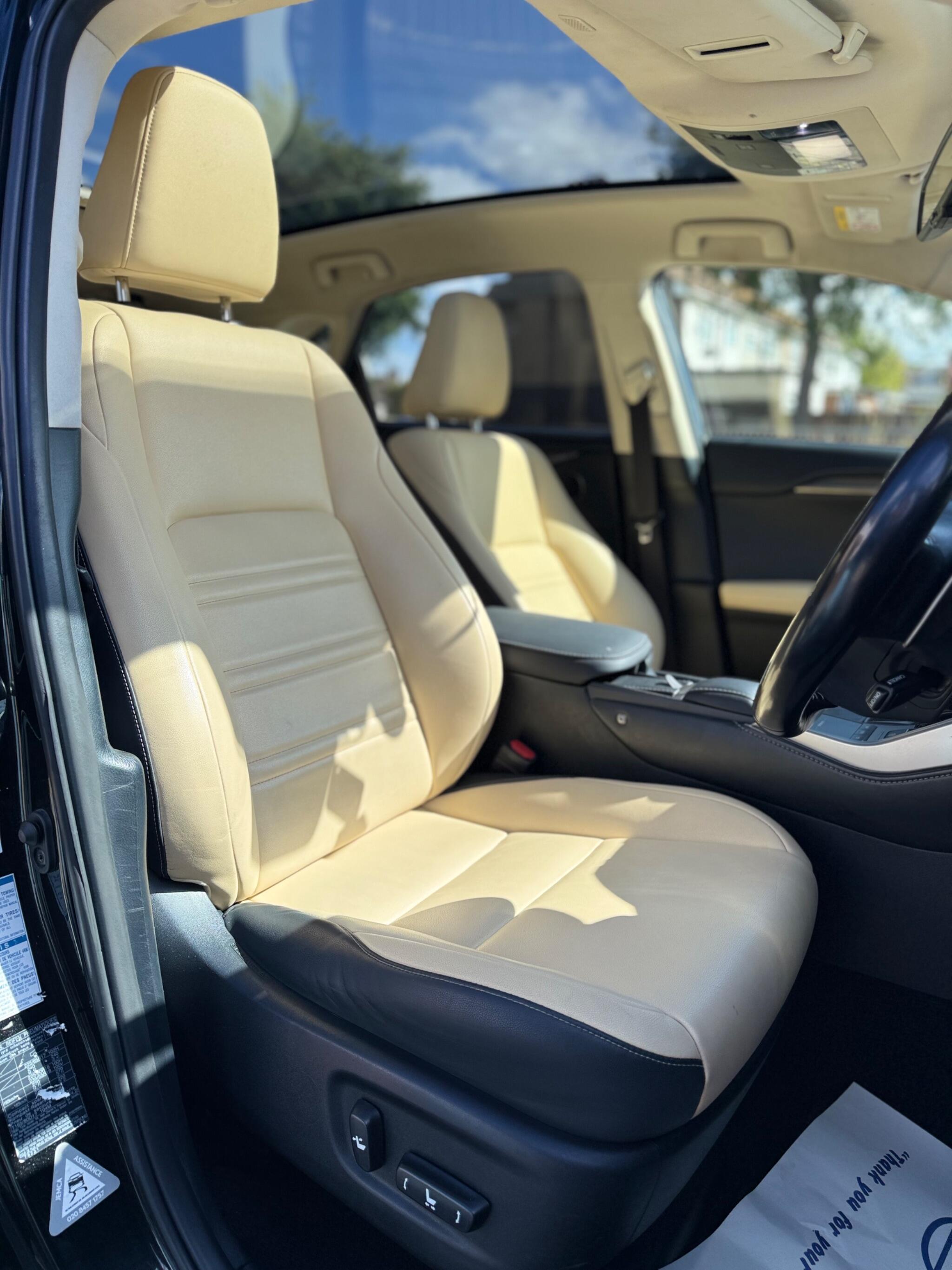 Lexus NX view 12