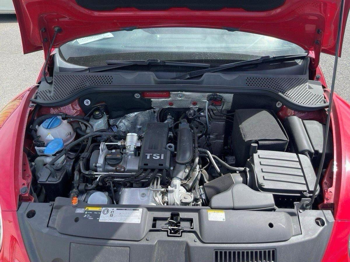 Volkswagen Beetle view 21