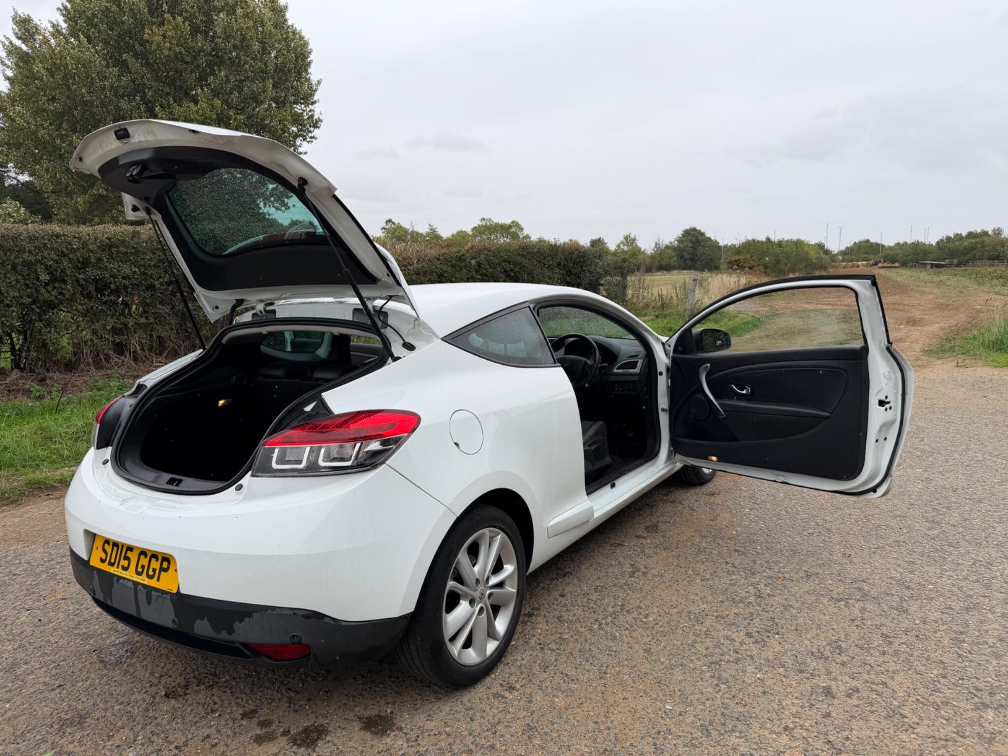 Renault Megane view 38