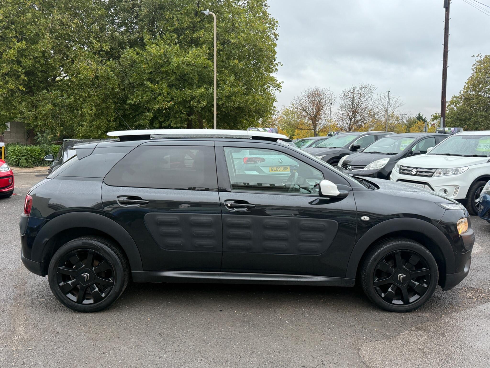 Citroen C4 Cactus - Image 8