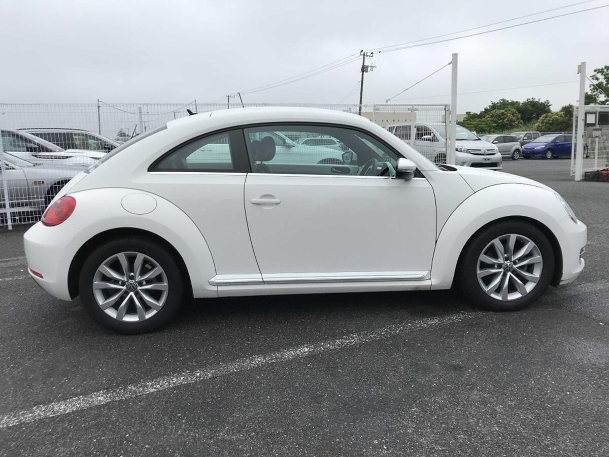 Volkswagen Beetle view 8