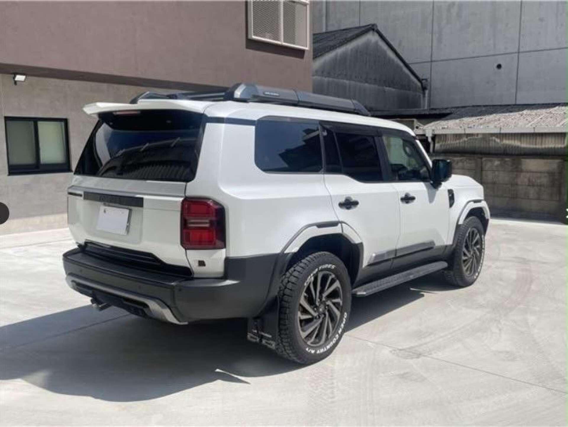 Toyota Land Cruiser view 13