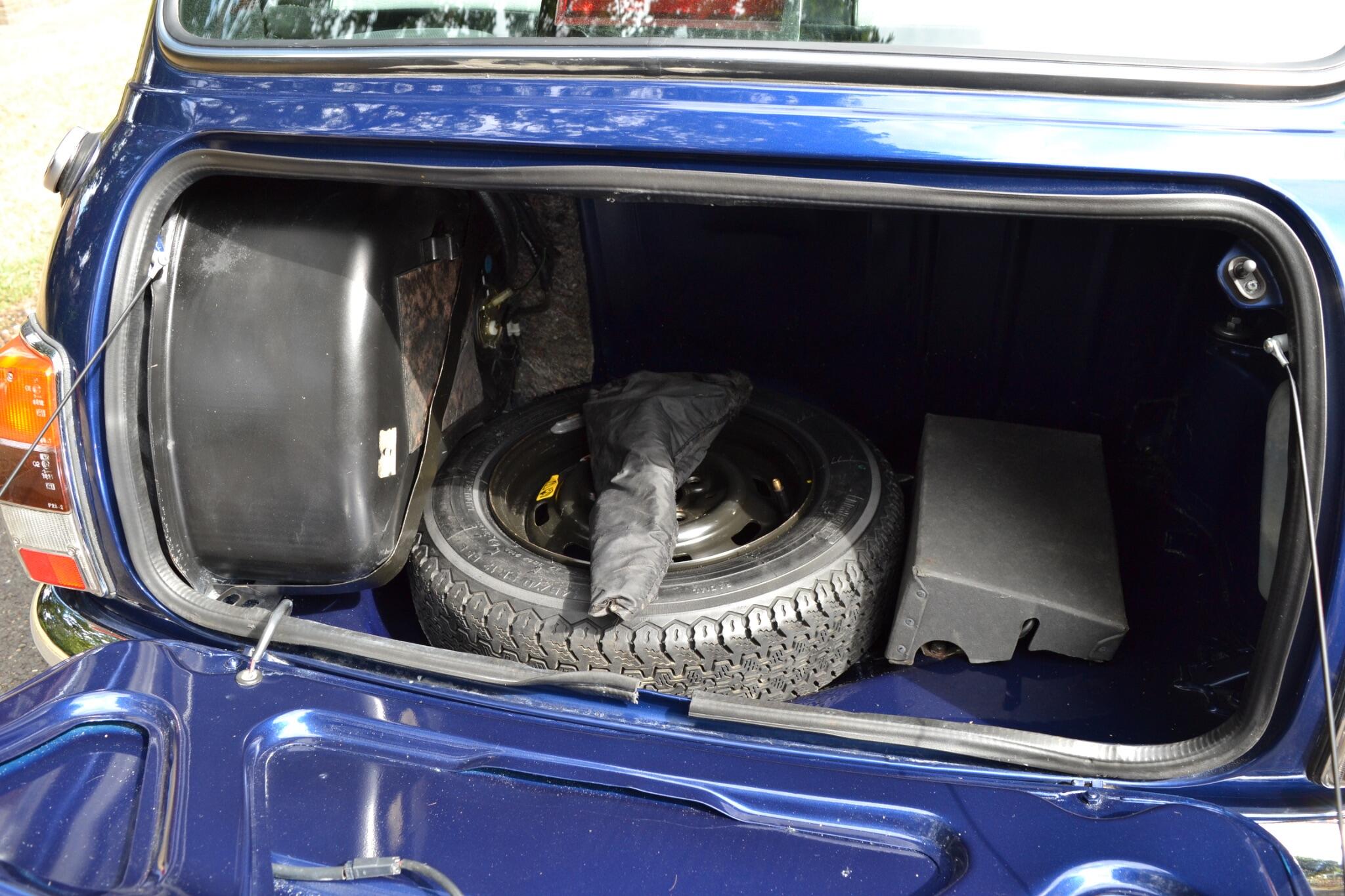 Rover Mini view 25