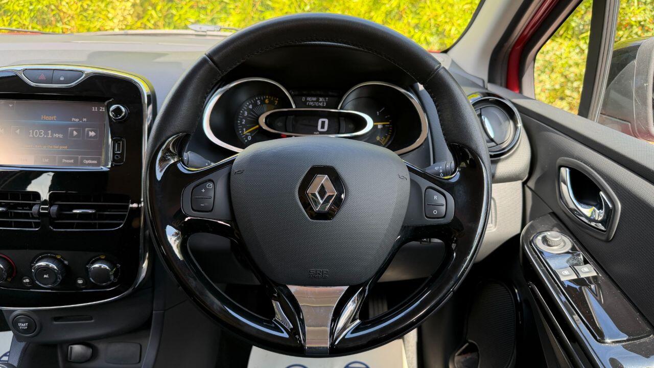 Renault Clio view 16
