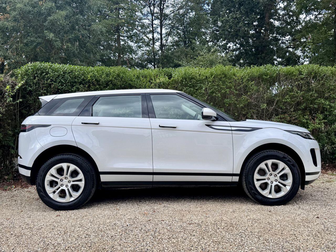 2019 Land Rover Range Rover Evoque in White for sale