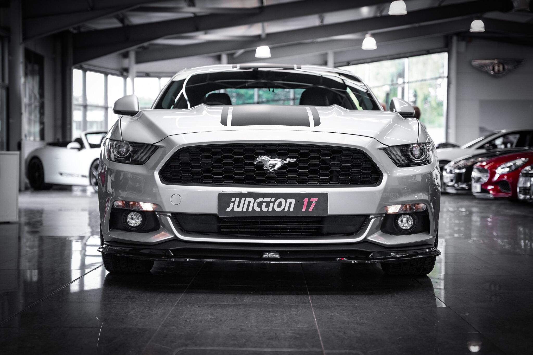 Ford Mustang view 11