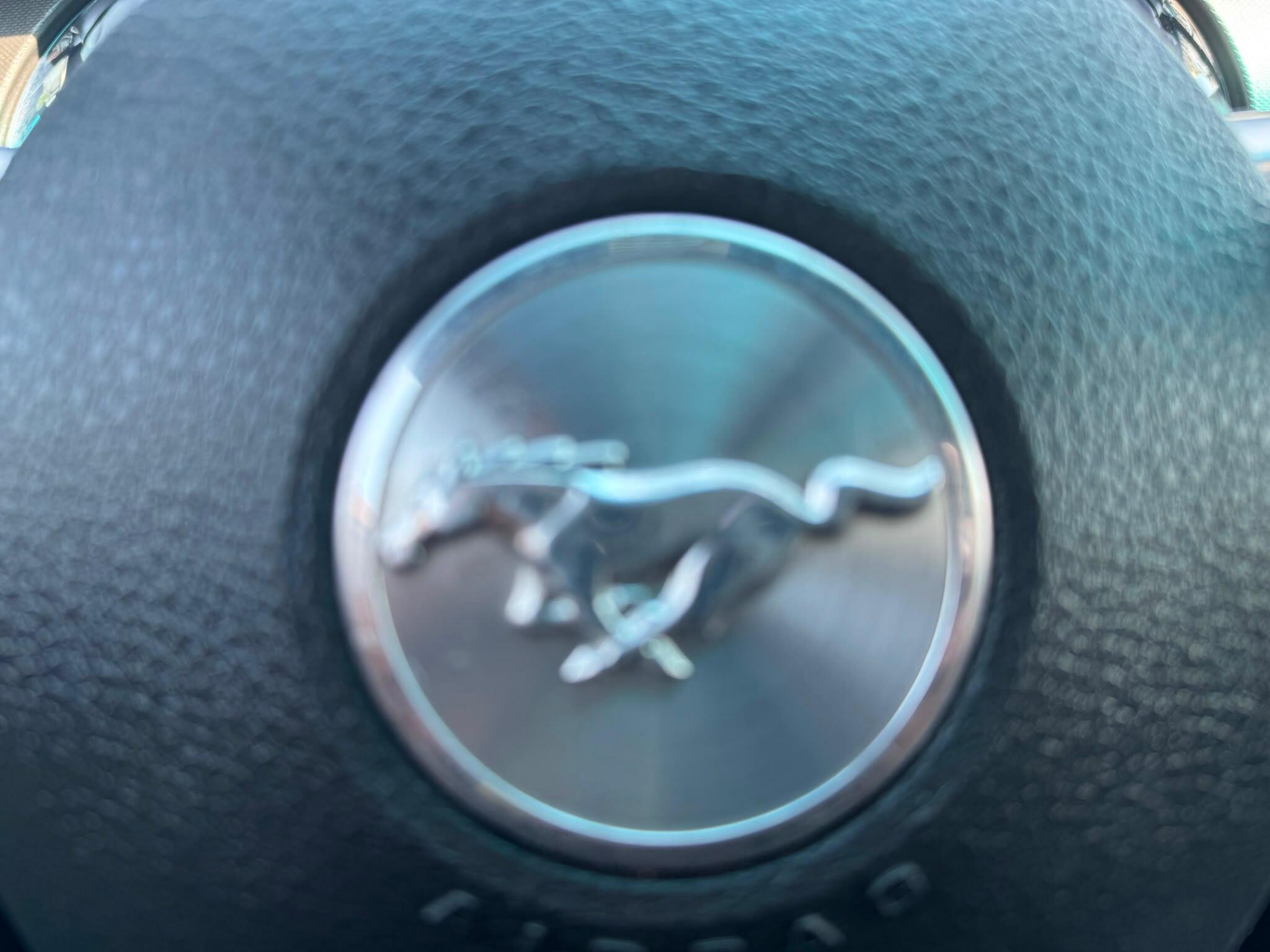 Ford Mustang view 29