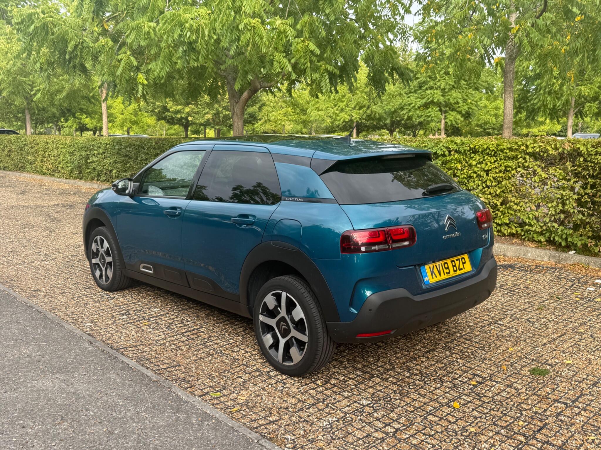 Citroen C4 Cactus view 24