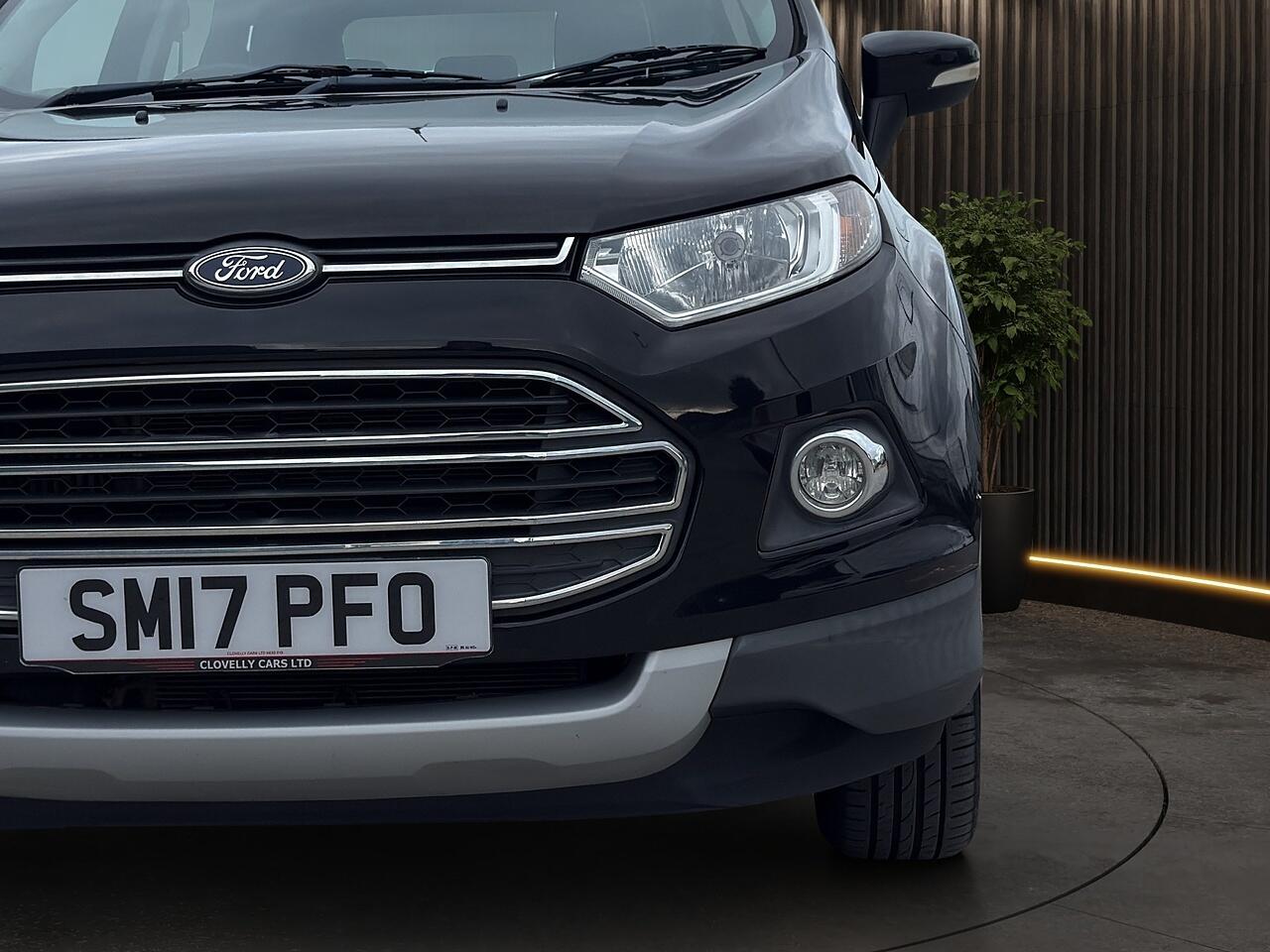 Ford Ecosport view 12