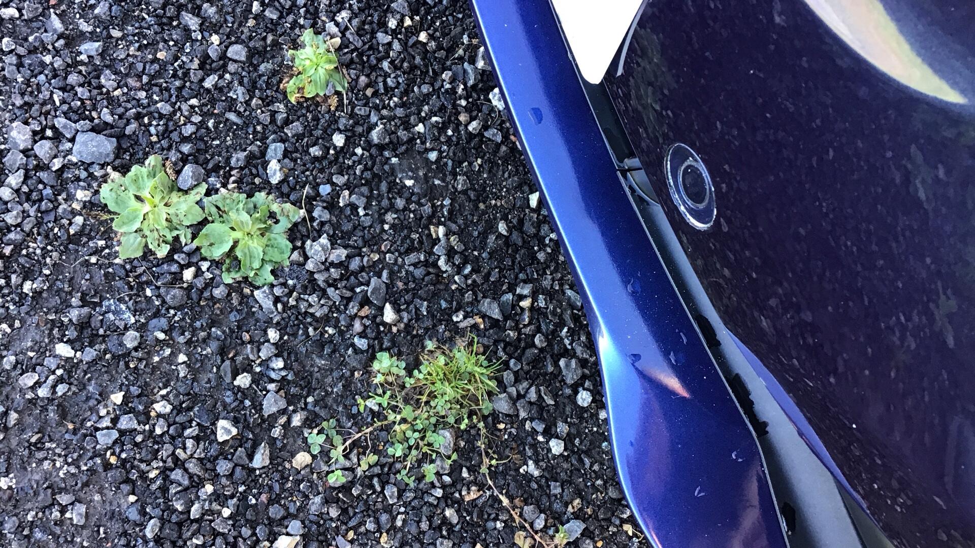 BMW 3 Series view 40