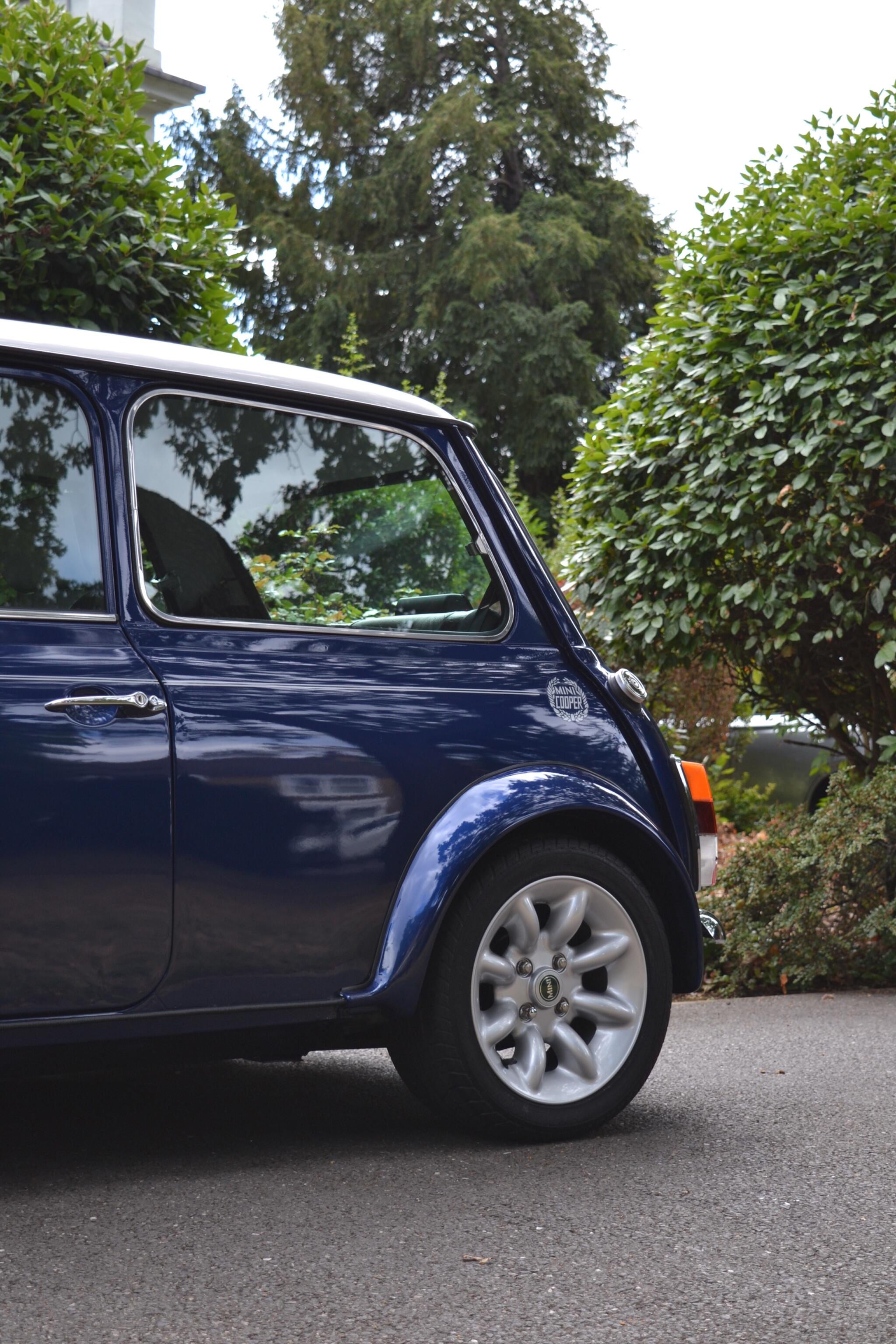 Rover Mini view 41