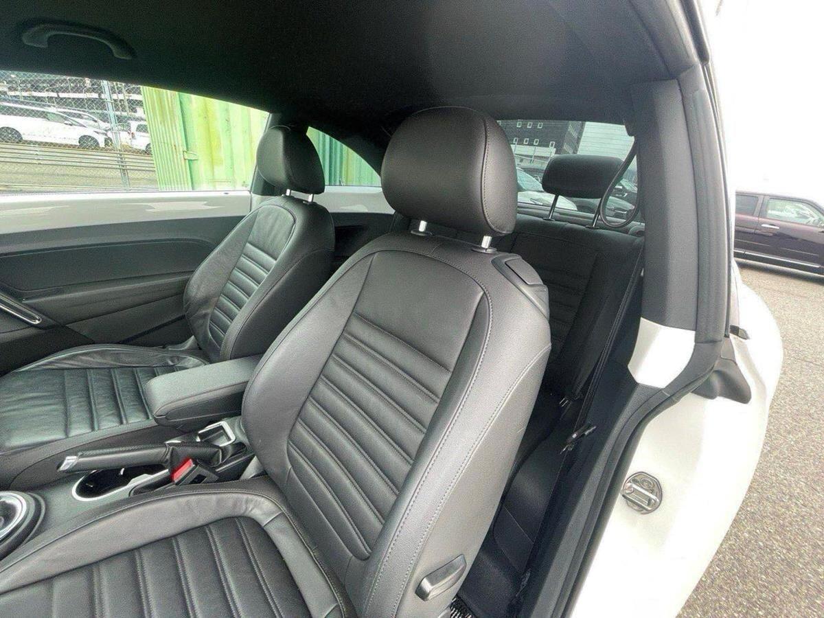 Volkswagen Beetle view 12