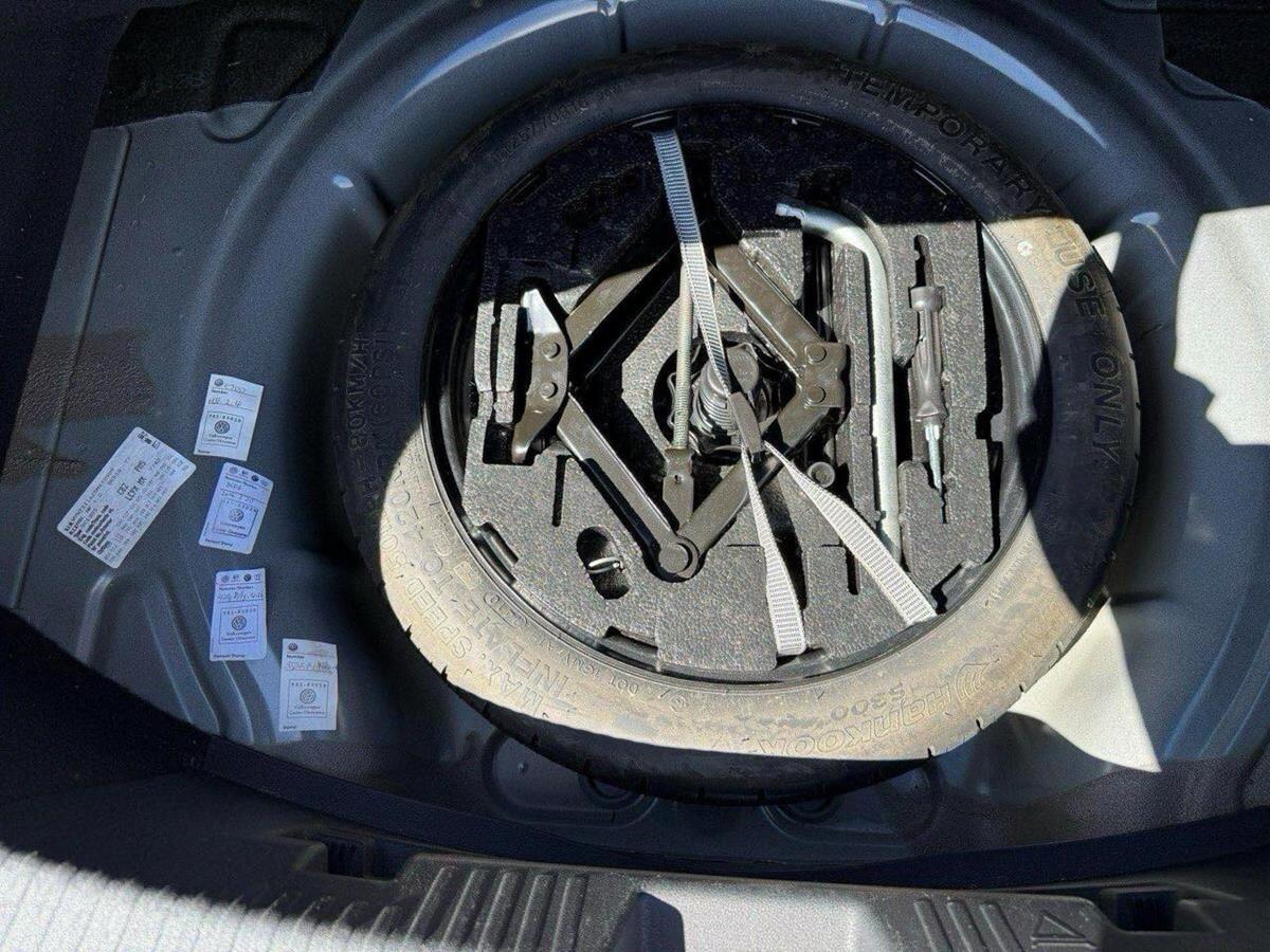 Volkswagen Beetle view 18