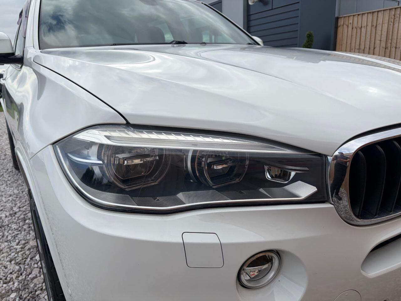 BMW X5 view 12