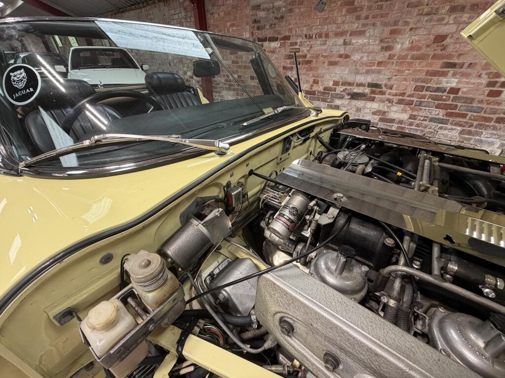 Jaguar E-Type view 16