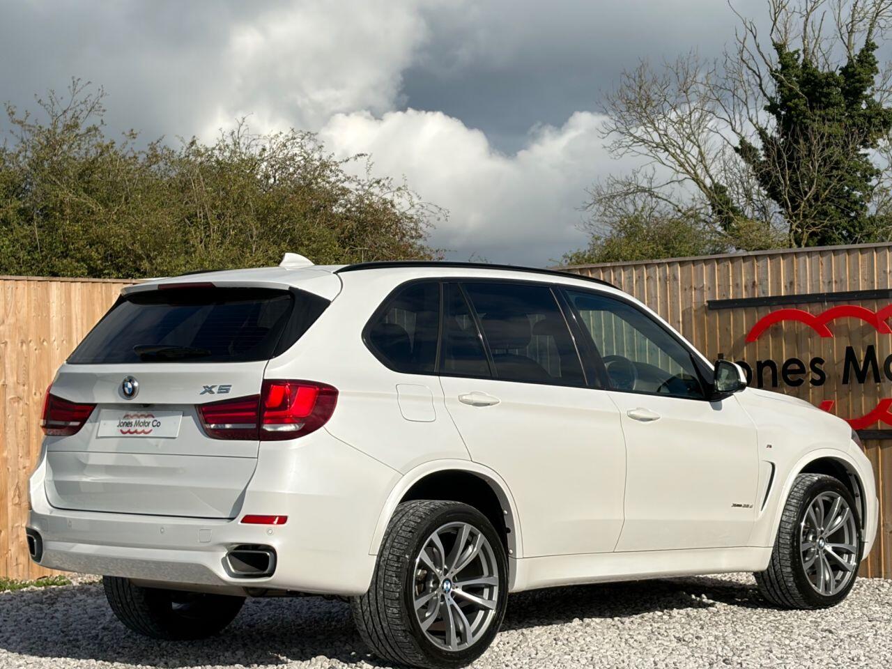 BMW X5 view 10