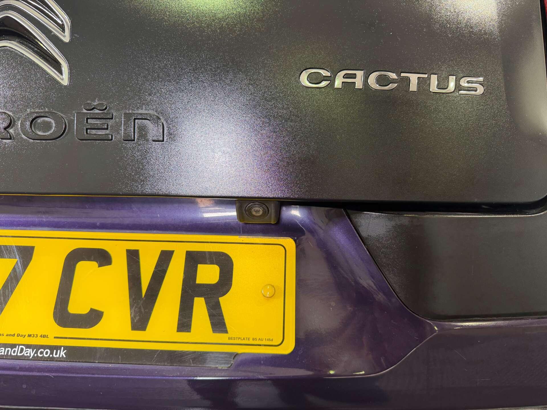 Citroen C4 Cactus view 9