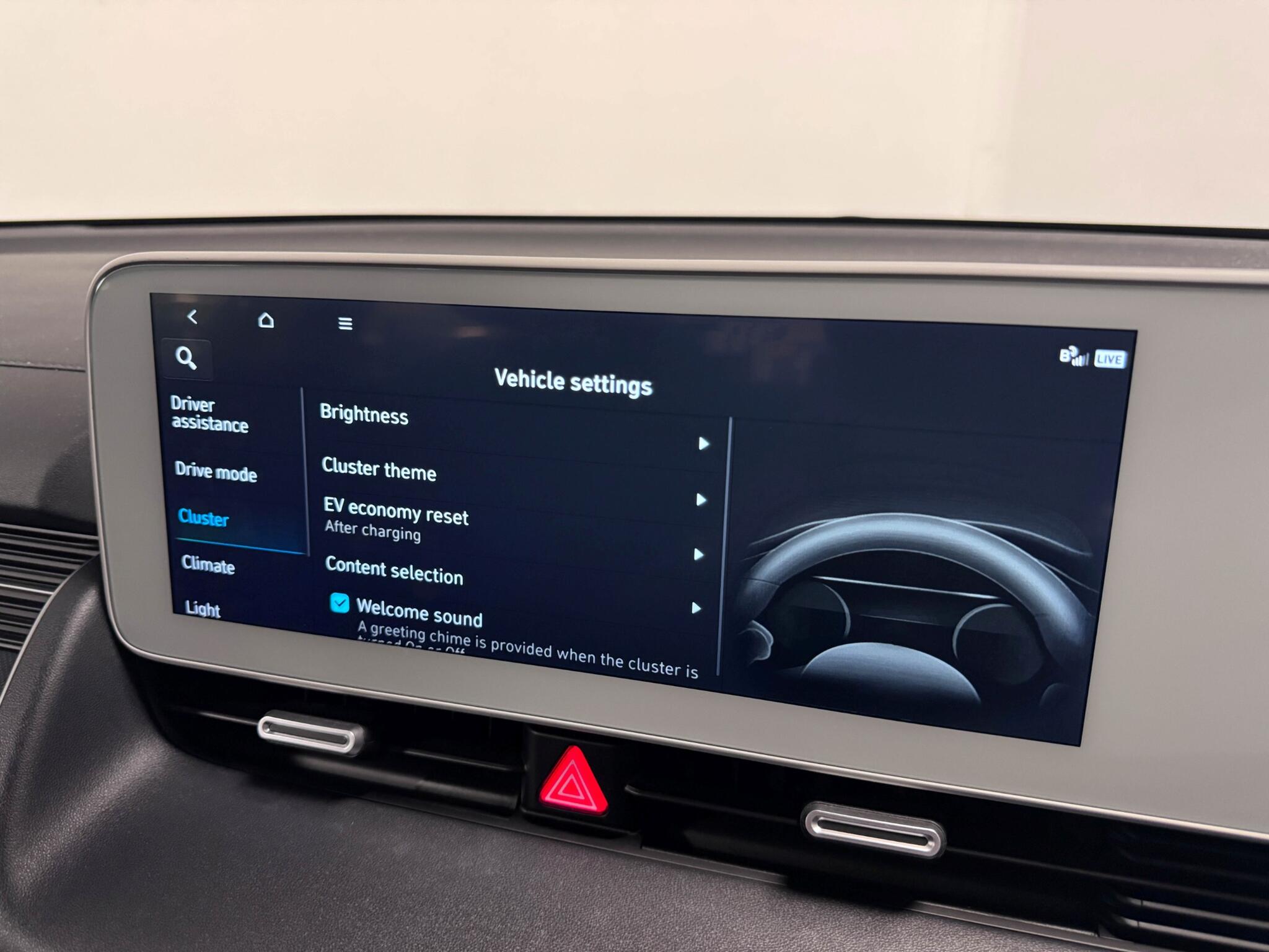 Hyundai Ioniq 5 view 66