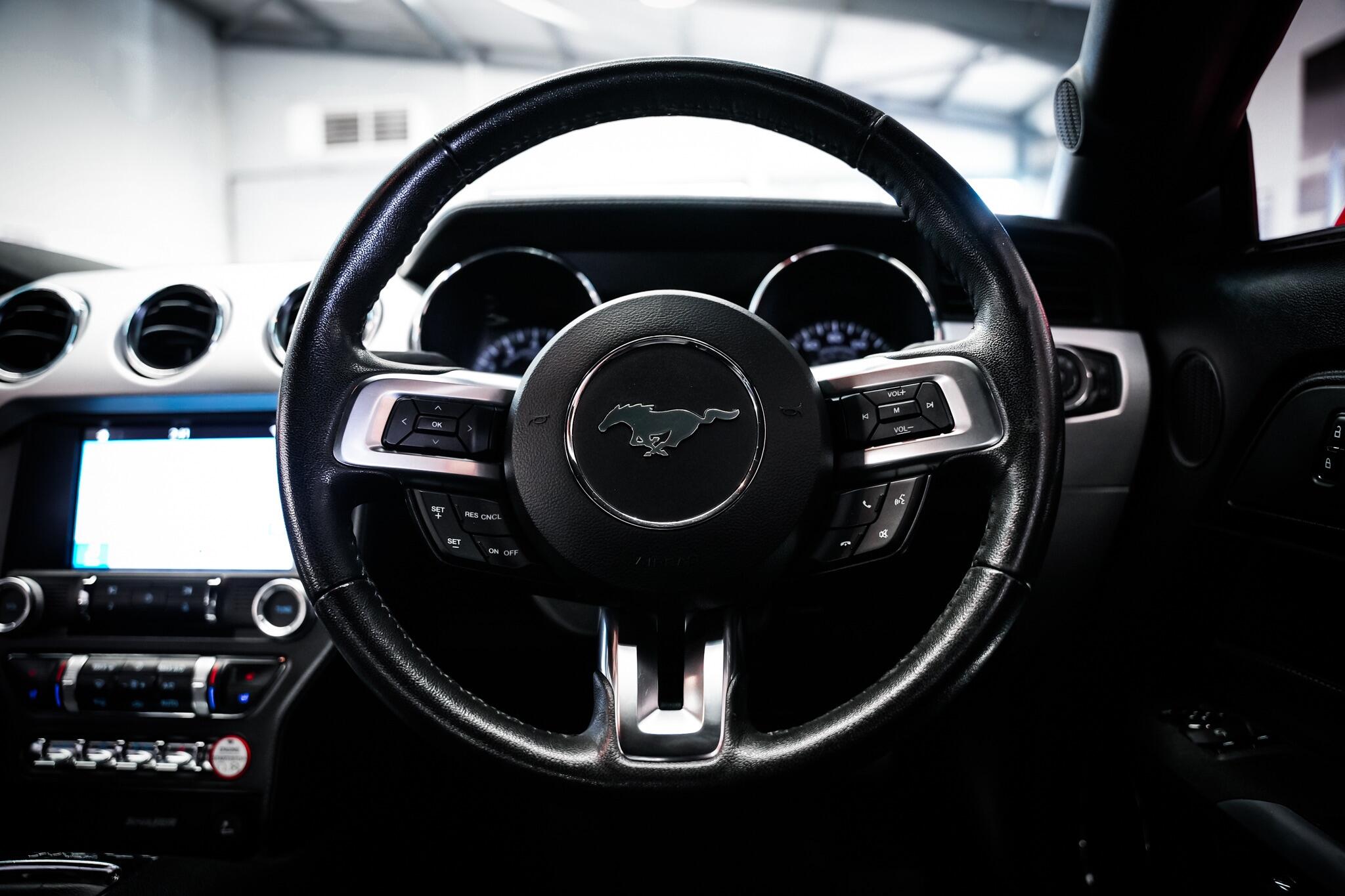 Ford Mustang view 19