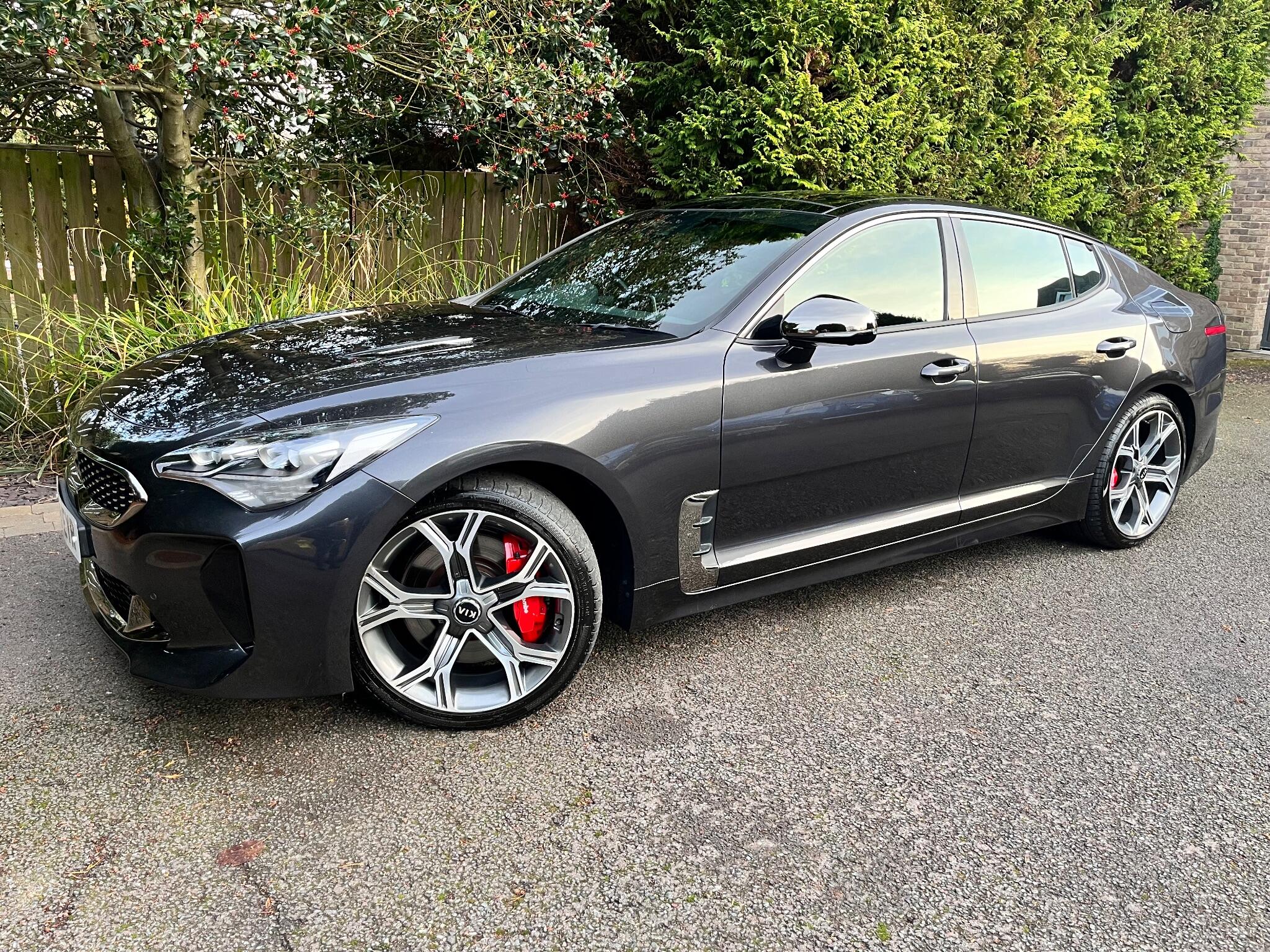 Kia Stinger view 5