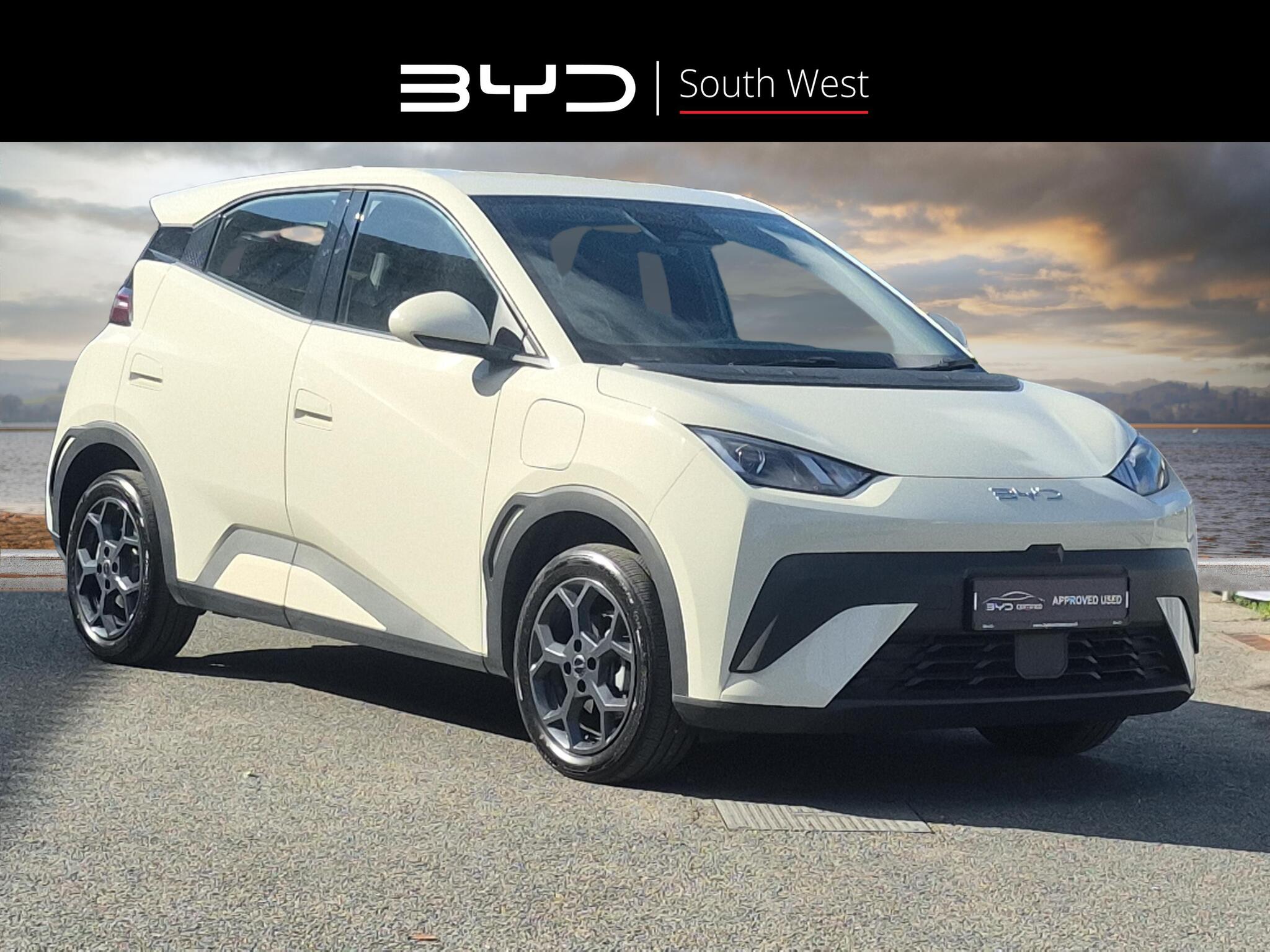 BYD Dolphin Surf
