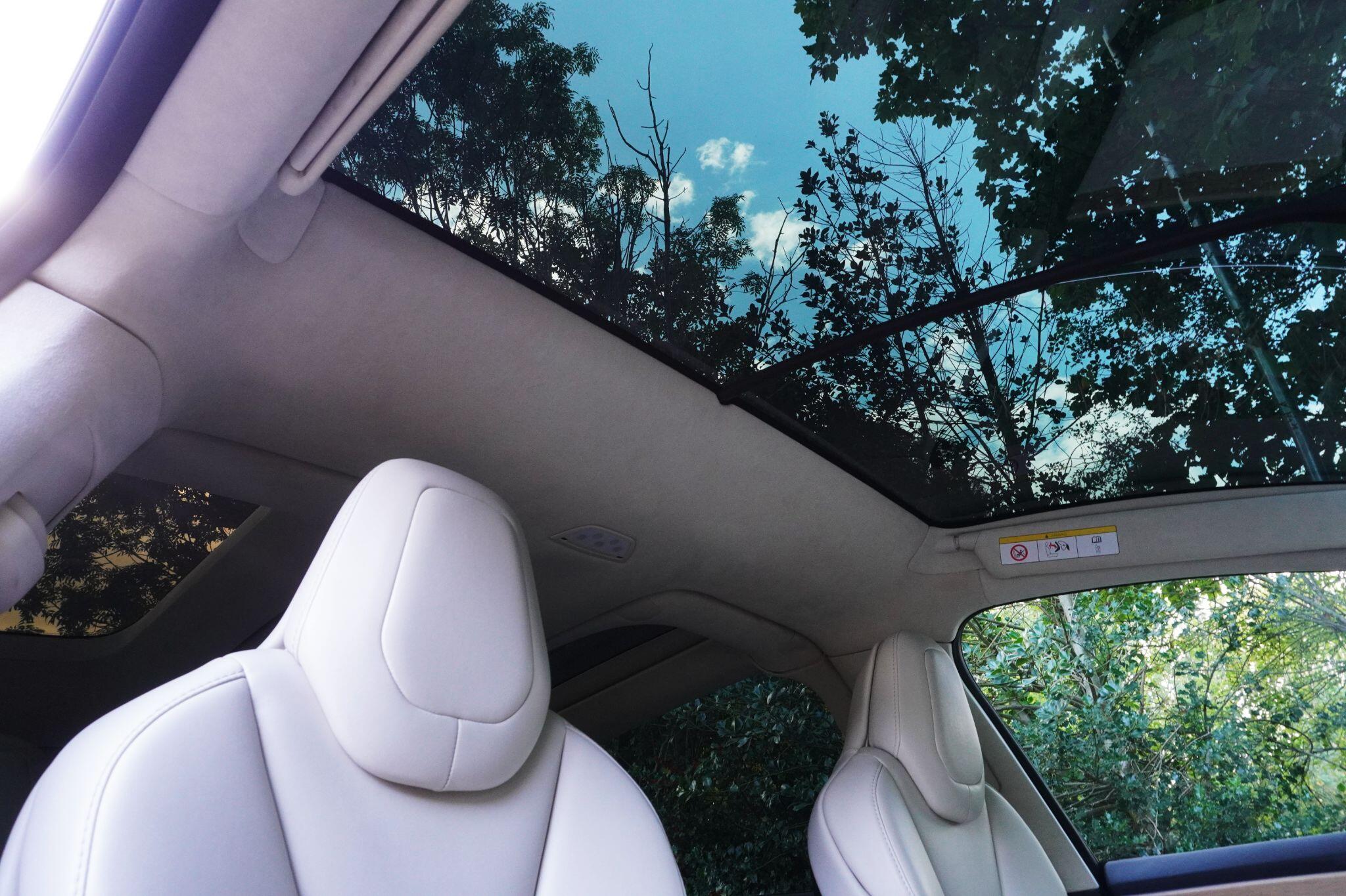 Tesla Model X view 23