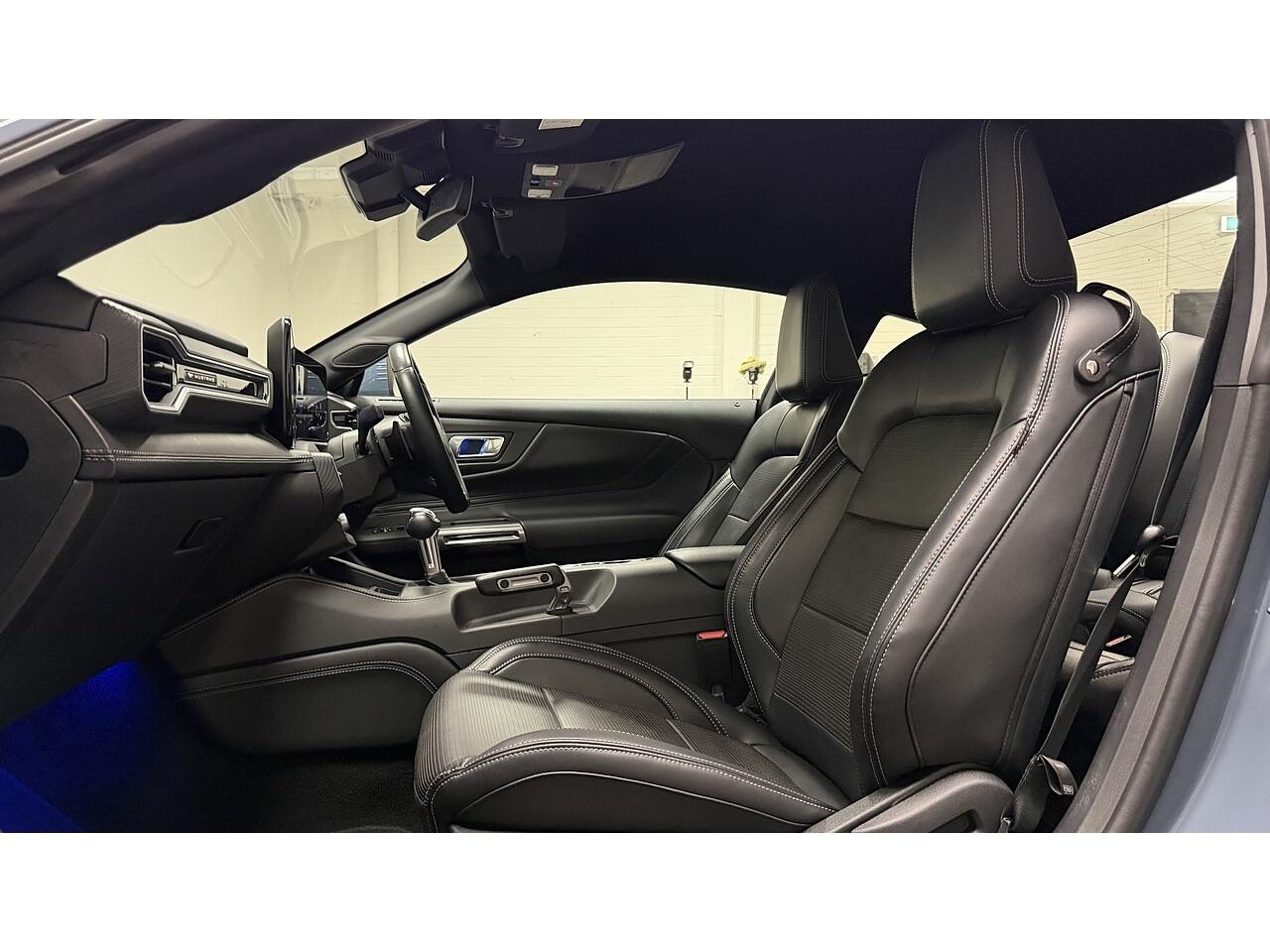 Ford Mustang view 21