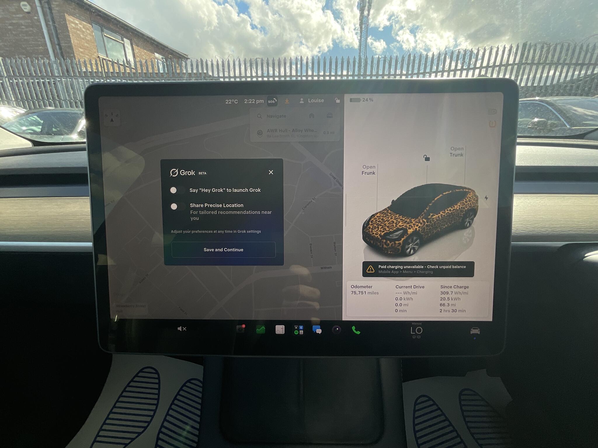 Tesla Model Y view 22