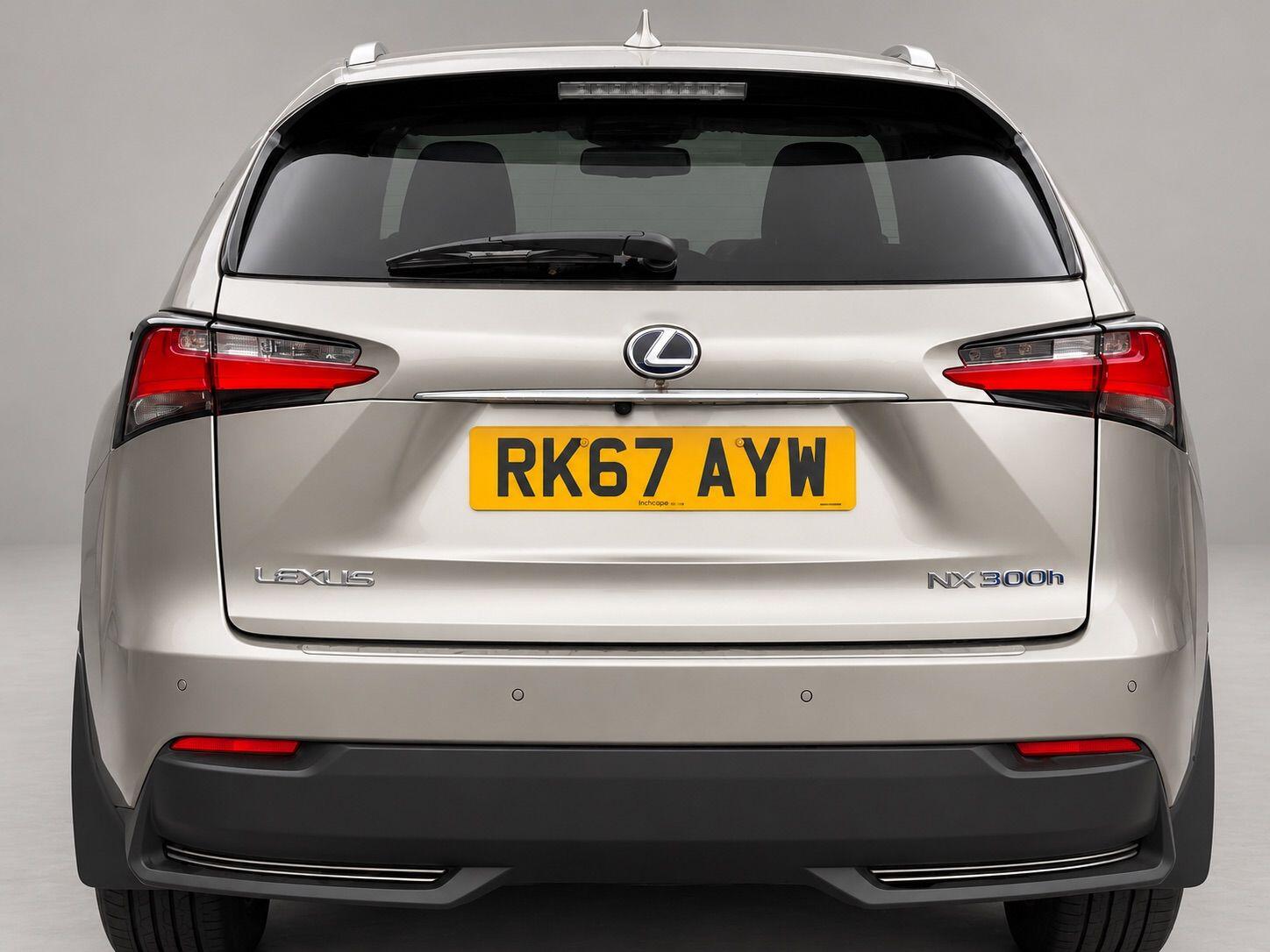 Lexus NX view 12