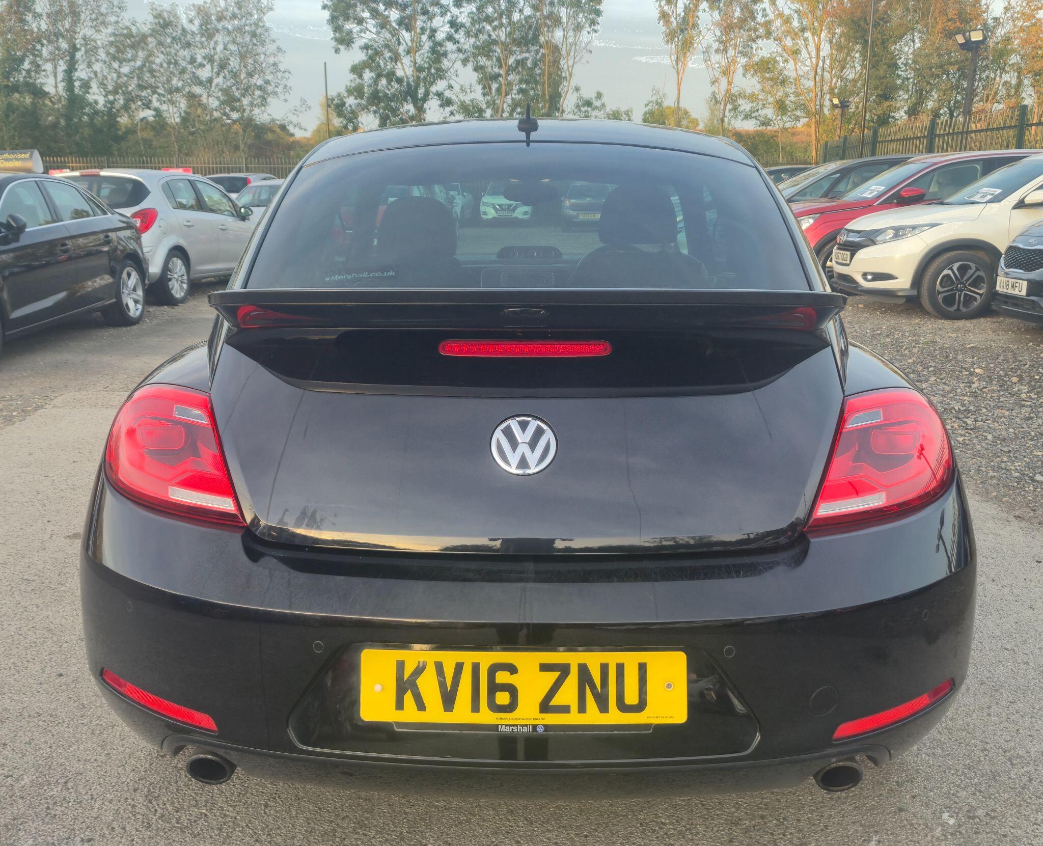 Volkswagen Beetle view 11