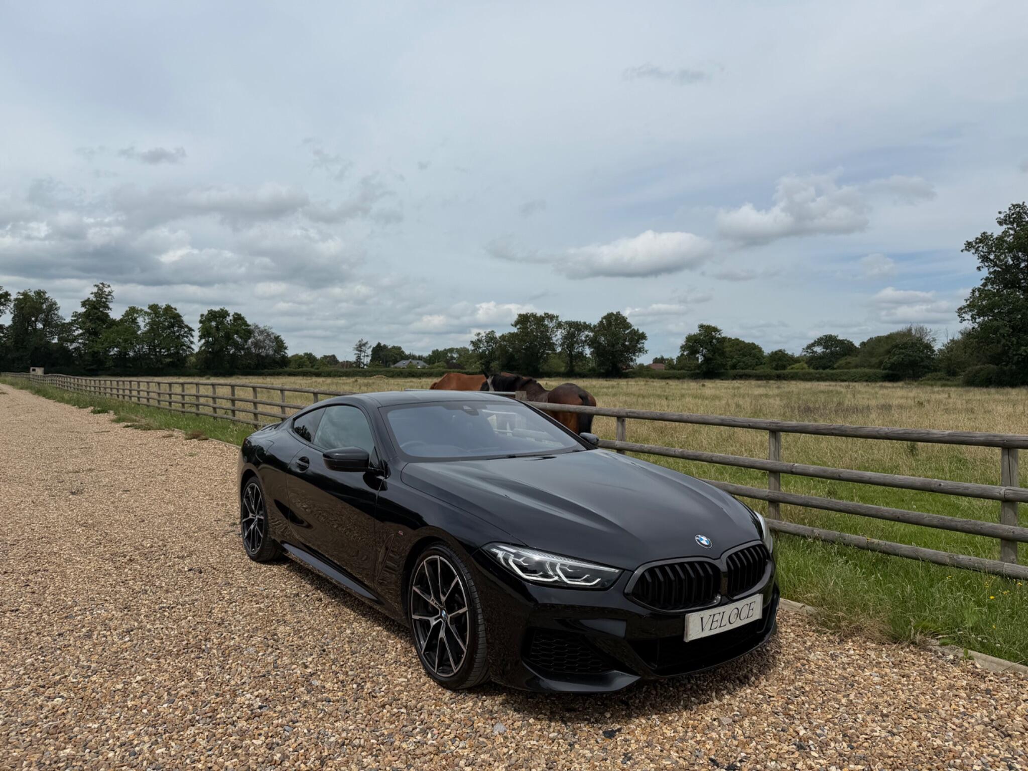 BMW 8 Series view 11