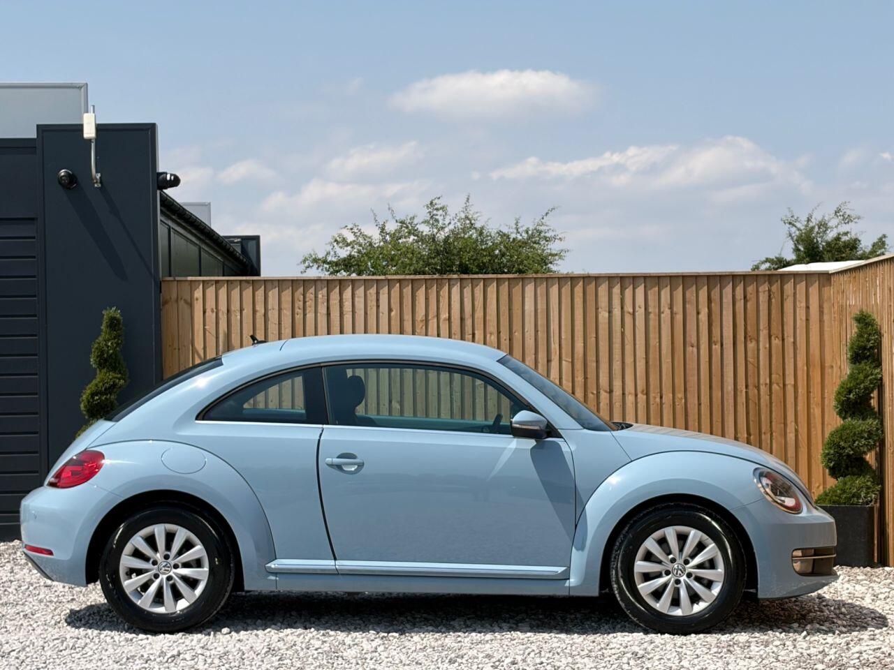 Volkswagen Beetle view 9