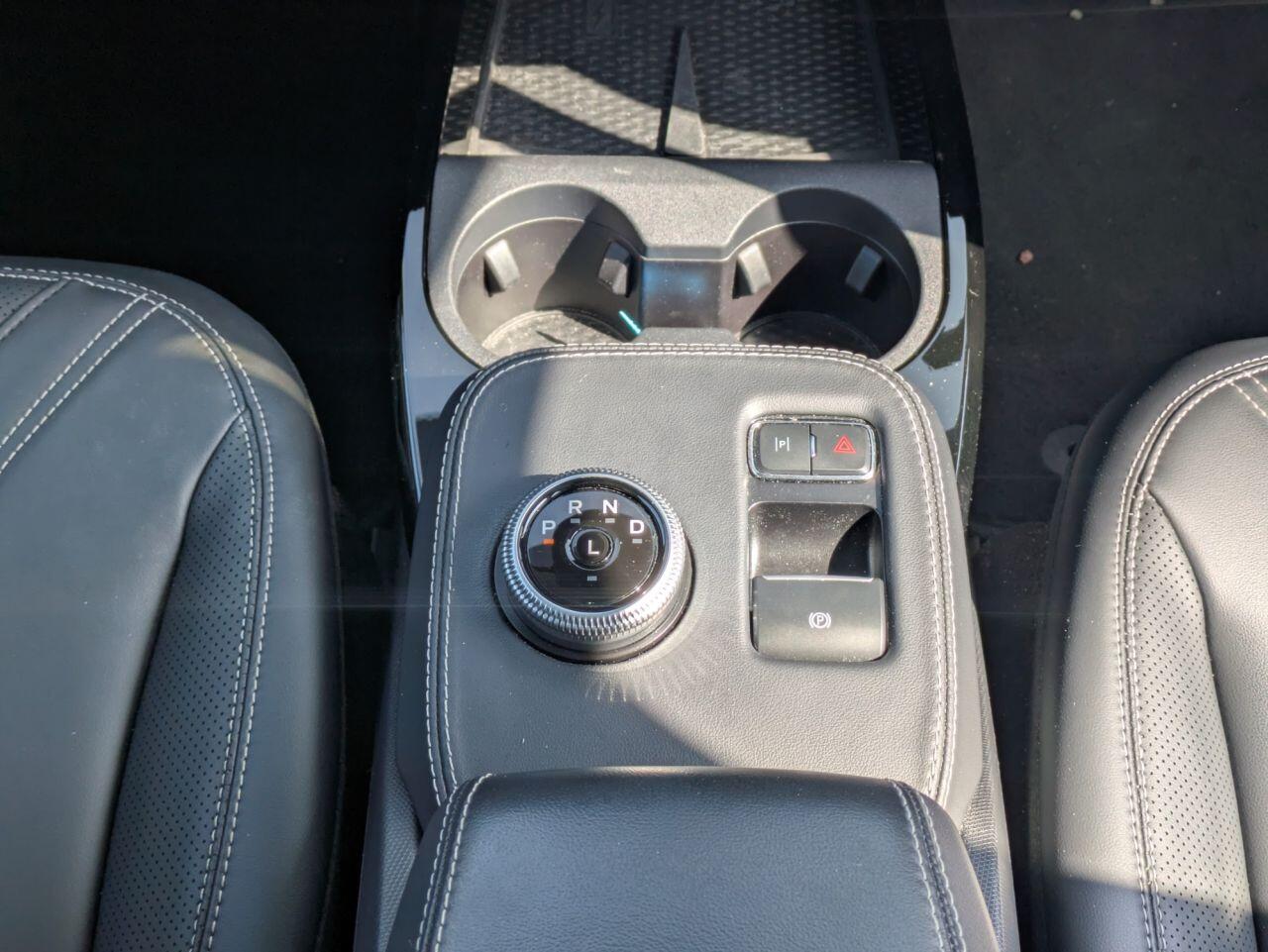 Ford Mustang Mach-E view 12