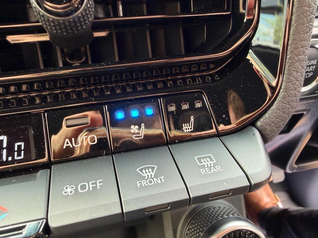 Toyota Land Cruiser view 24