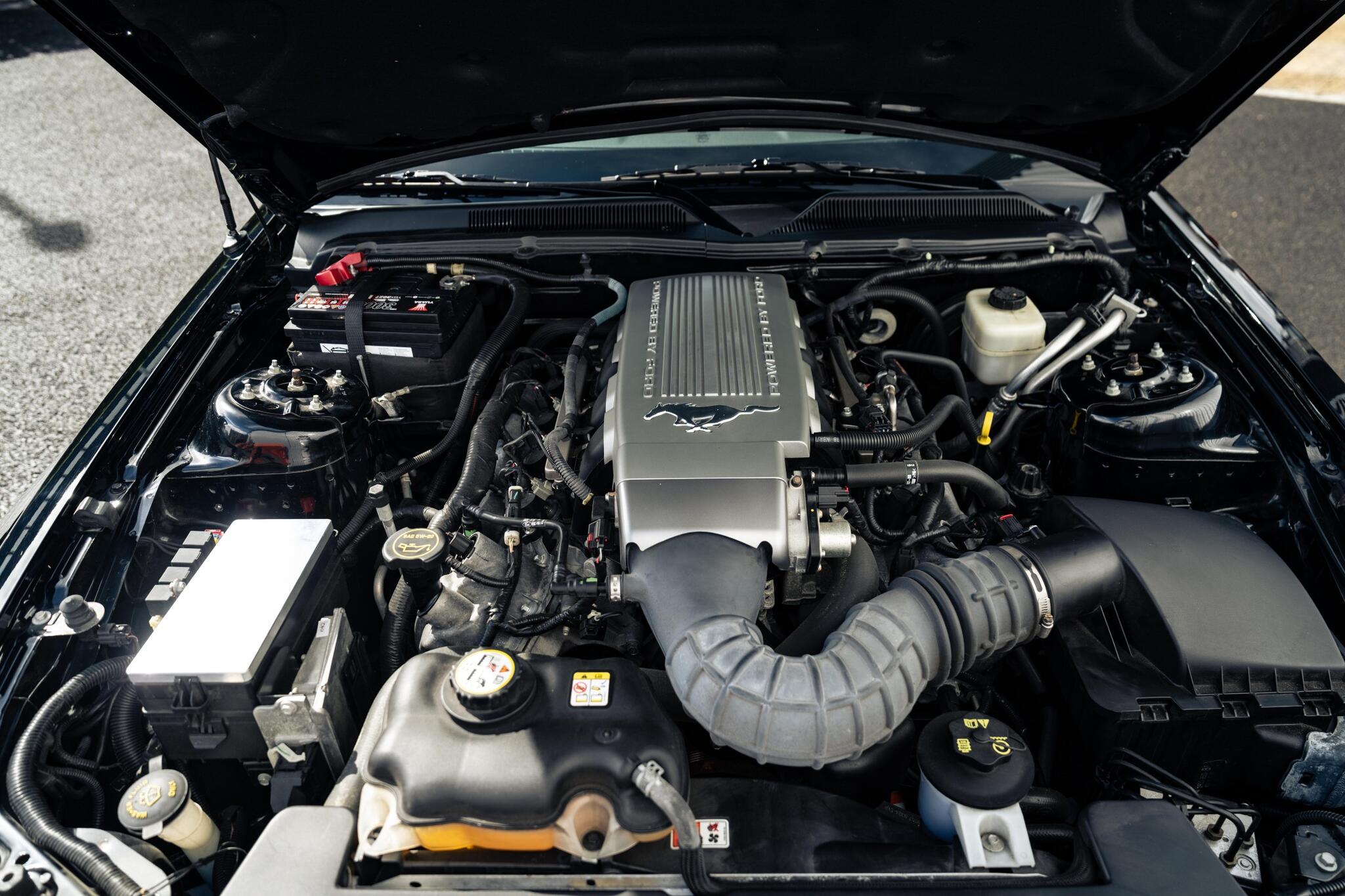 Ford Mustang view 12