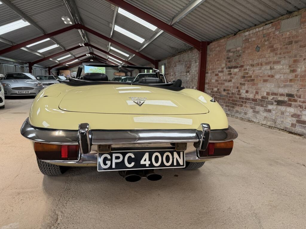 Jaguar E-Type view 4