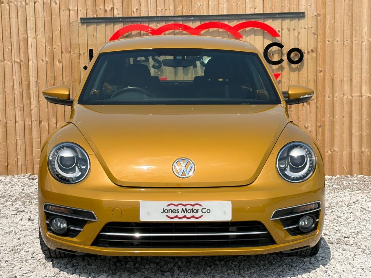 Volkswagen Beetle view 3