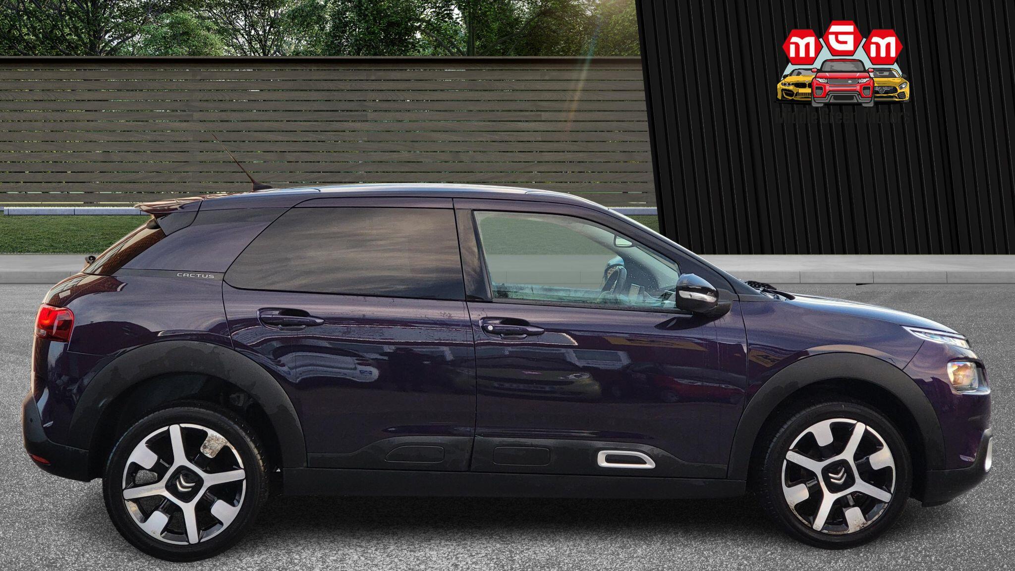 Citroen C4 Cactus view 9
